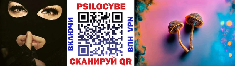Псилоцибиновые грибы GOLDEN TEACHER  купить наркотик  нарко площадка официальный сайт  Калининград 